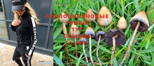 MDMA Заводоуковск