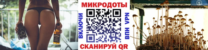 купить   Истра  Псилоцибиновые грибы Psilocybe 